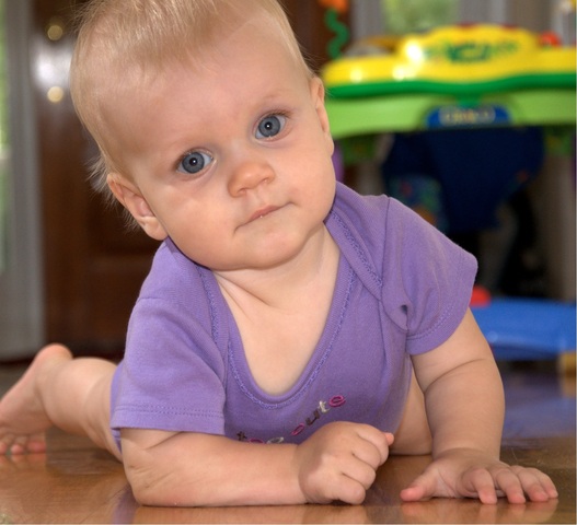 Infant begins to crawl.