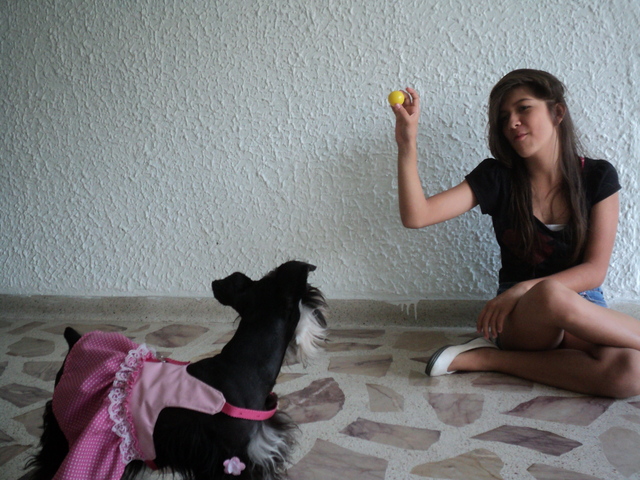 Jugar y jugar la vida de un perro.