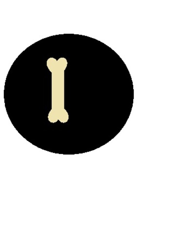 Bones are visible.  Heartbeat can be heard with a stethoscope.