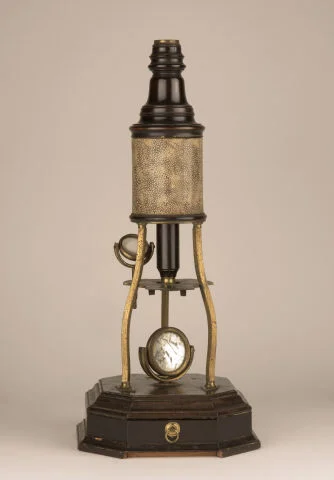 Microscopio con lente objetivo