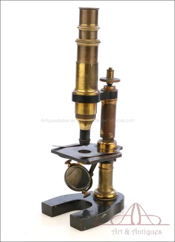 Microscopio monocular con binoculares