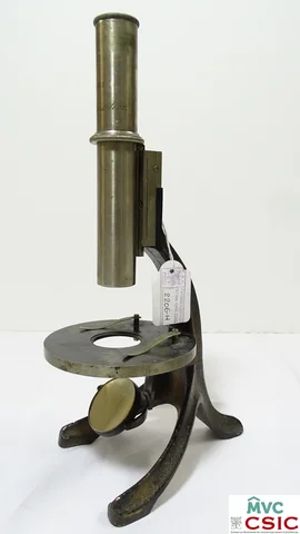 Microscopio de disección