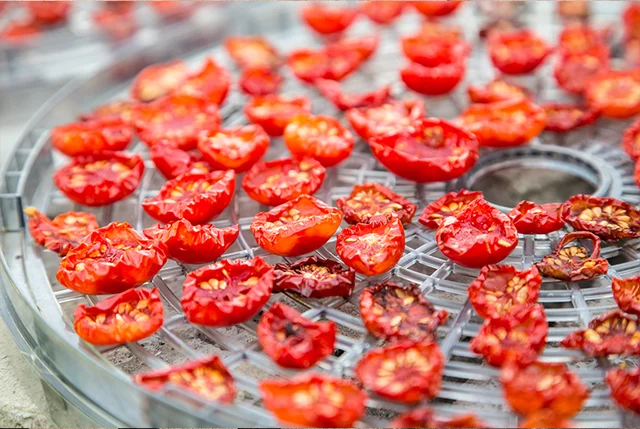 Introduction of food drying