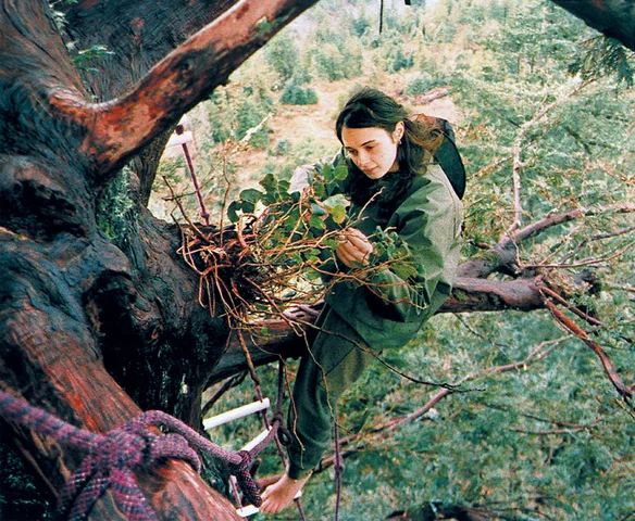 Julie “Butterfly” Hill