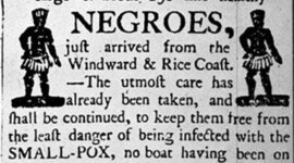 Timeline: African Slave Trade: The Reasons