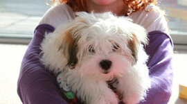 Timeline: Kelsey's life