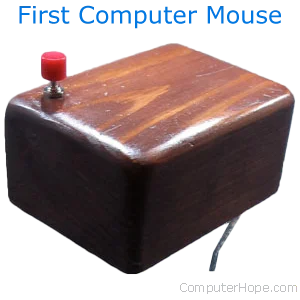the first mouse