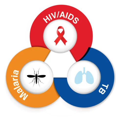 Enfoque en problemas de salud mundial (VIH/SIDA, malaria, tuberculosis)