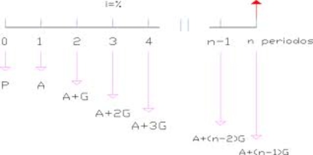Primer programa educativo