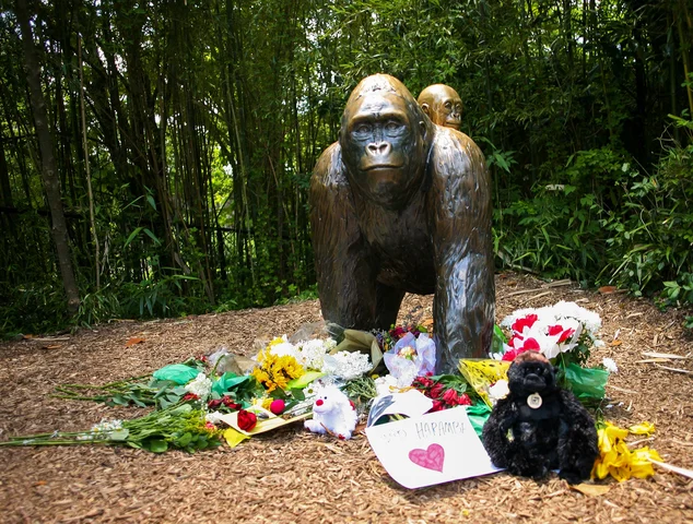 Harambe