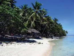 Why did The Cook Islands fear the French.