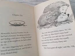 From Pictures to Words