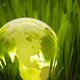 Sustainability timetoast