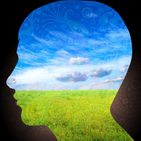 SCC Creates Sustainability Coordinator Position