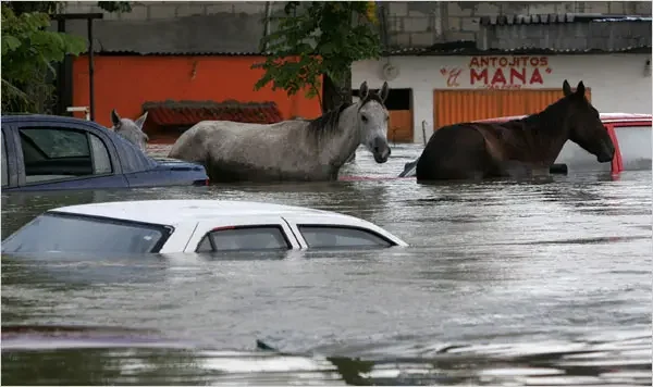 Tabasco Flood