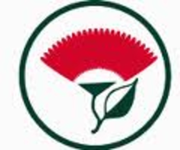 First Day of Primary School