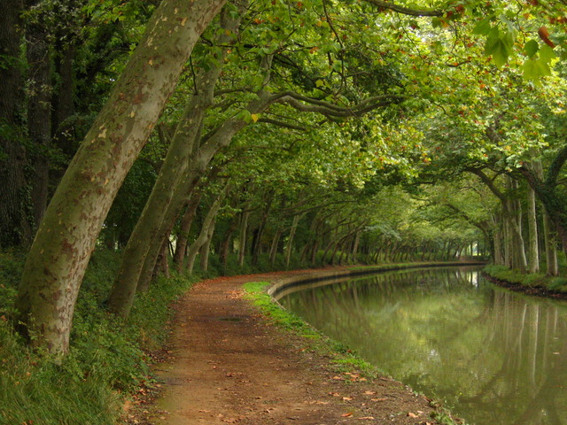 The Languedoc Canal is made.