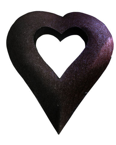 Heart develops right and left chambers.