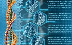 Secuenciación del Genoma Humano