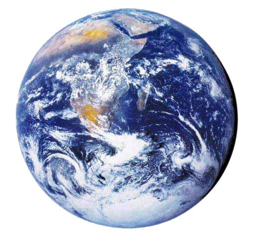 EJERCICIO DE SUPERVIVENCIA