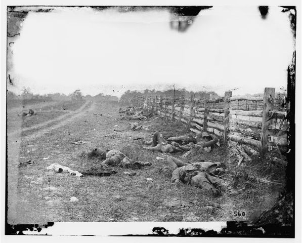 Brady holds the exhibit "The Dead of Antietam" displaying a collection of photographs from the conflict.**