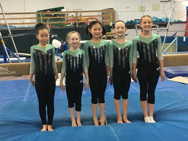 Started Gymnastics