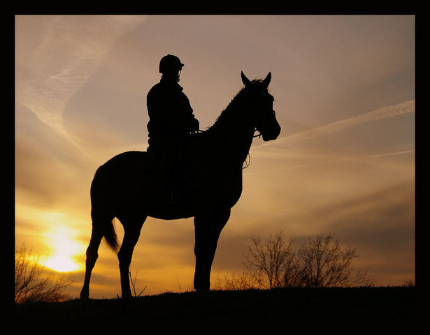 The Man on The Horse