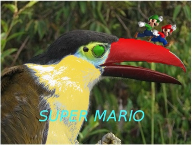 Super Mario