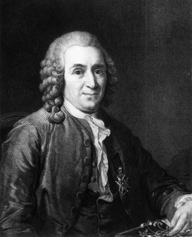 Carl Linnaeus (1707 - 1778)