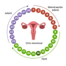 Semana 1