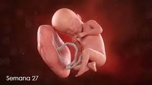 Semana 27