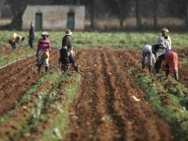 Landereformen kommer til