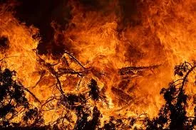 The Great Fire of Rome