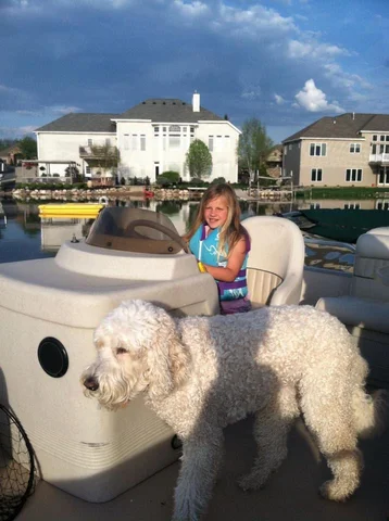 Family dog died