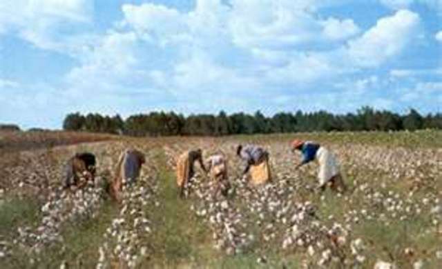 La familia encontró trabajo.