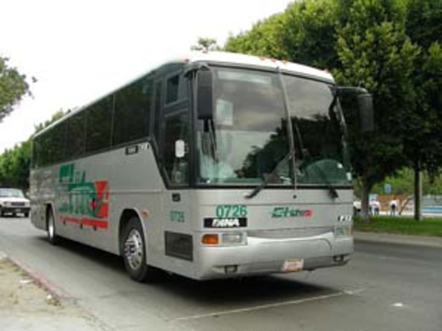 El grado sexto y el regresa a Mexico.