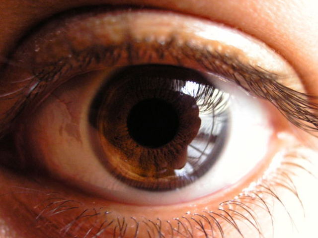 Heart beats regularly.  Eyes and ears begin to form.