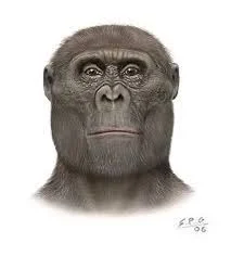 Paranthropus athiopus