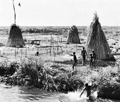 Humans in the Nile