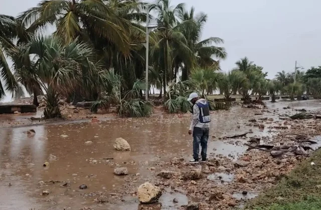 Hurricane Beryl June 2024