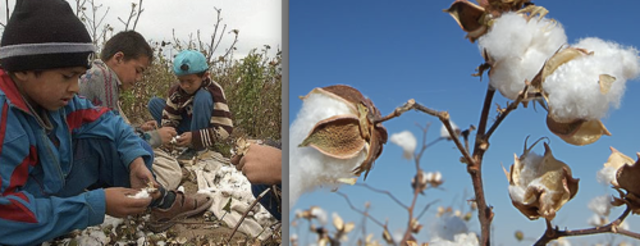 Aún Demasiado Pequeño Para Trabajar