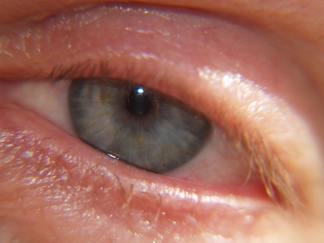 Eyelids can open and wight can be up to 6.6 pounds