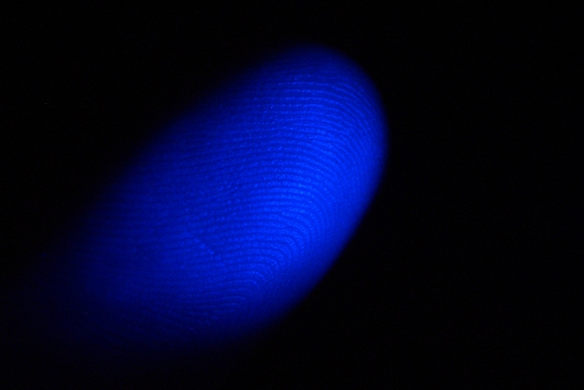 Fingerprints form