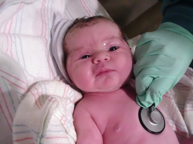 Heartdevelops right and left chambers