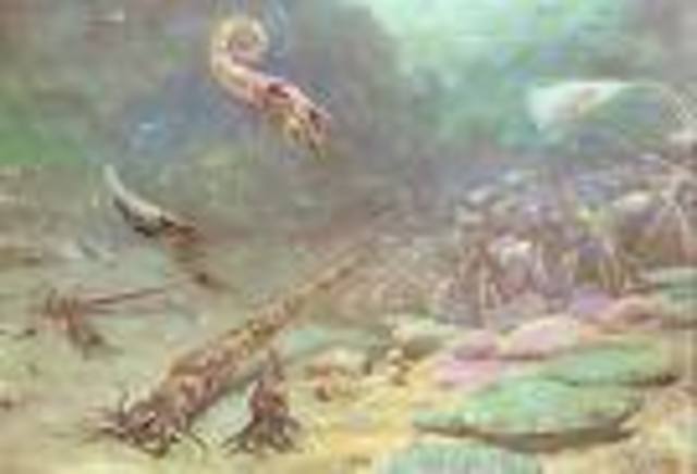 Silurian 435-395 MYA