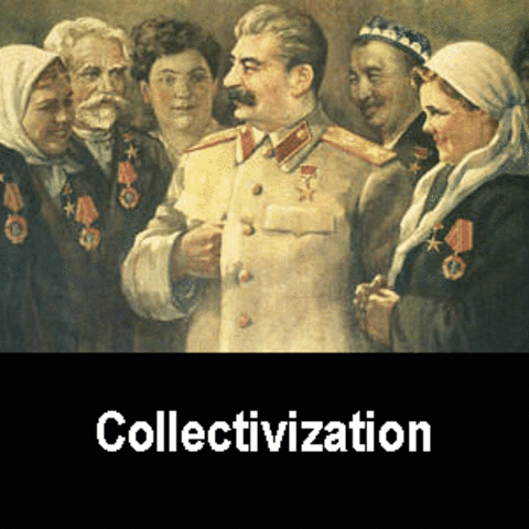 Collectivization