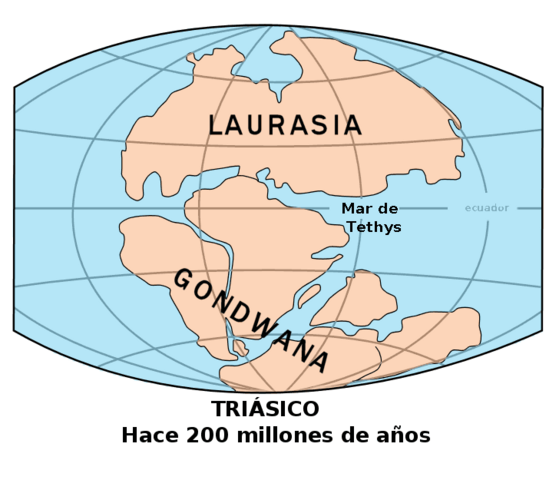 Ordovician Period: 500-435 MYA