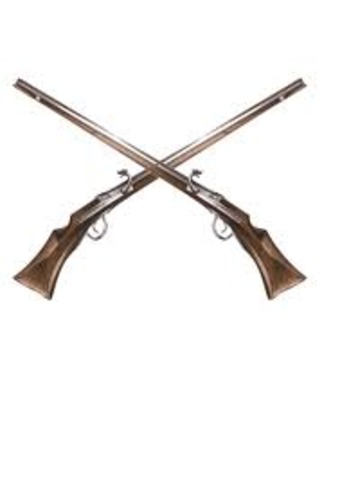 Nonunaga's 3,000 soldiers have musket crash an enemy force of samurai cavary.