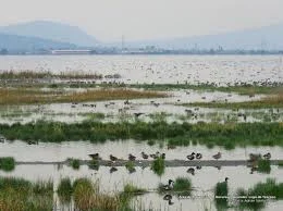 Decreto de Área Natural Protegida (ANP) del Lago de Texcoco