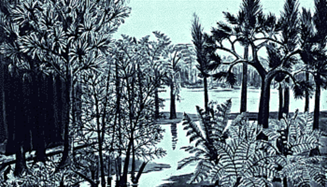 Carboniferous 345-280 MYA